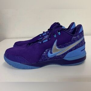 Nike Zoom LeBron NXXT Gen AMPD Mens Sz 13 Summit Lake Hornets Purple FJ1566-500